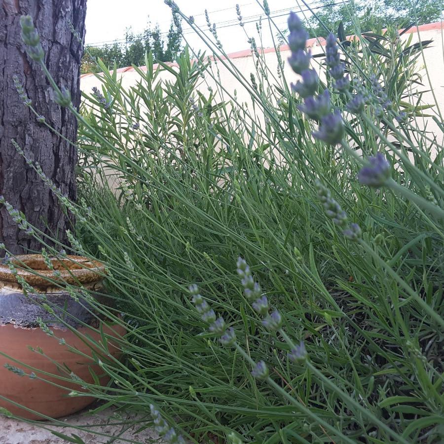 Philoxenia Panzió Pourrieres Kültér fotó